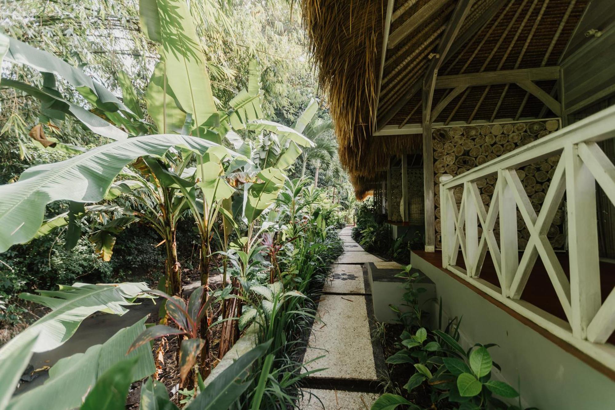 Maylie Bali Villa & Bungalows Чангу Экстерьер фото